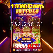Experiência VIP 9955Bet